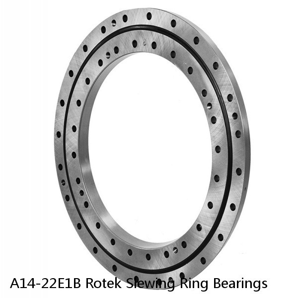 A14-22E1B Rotek Slewing Ring Bearings