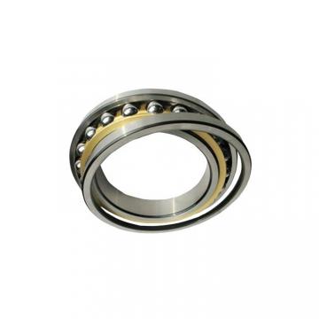 Chrome Steel/Stainless Steel Bearing 6206-RS/2RS/Zz Deep Groove Ball Bearing/Ball Bearing/Bearings 6206
