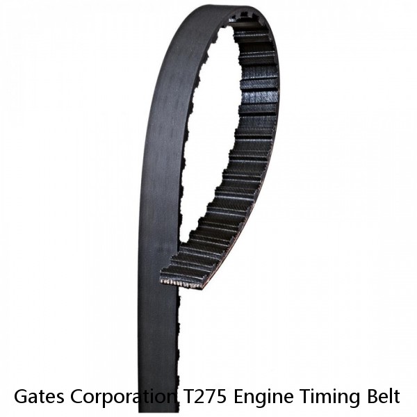 Gates Corporation T275 Engine Timing Belt   Premium Automotive