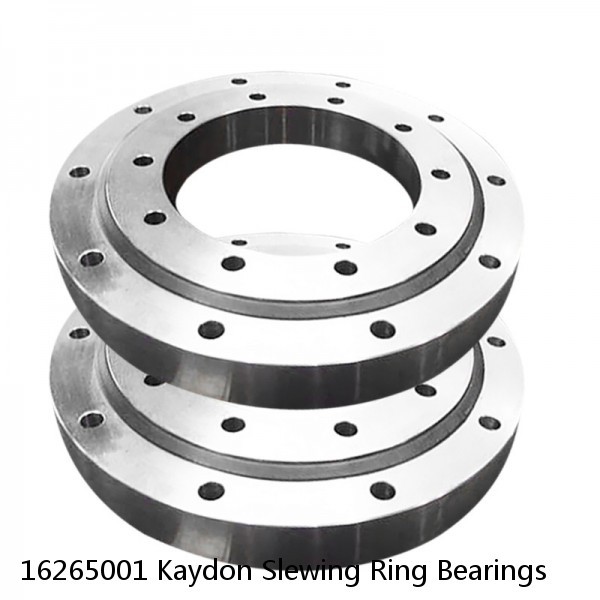 16265001 Kaydon Slewing Ring Bearings