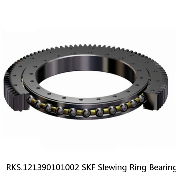 RKS.121390101002 SKF Slewing Ring Bearings
