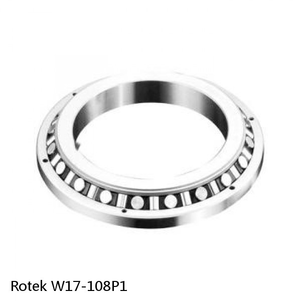 W17-108P1 Rotek Slewing Ring Bearings