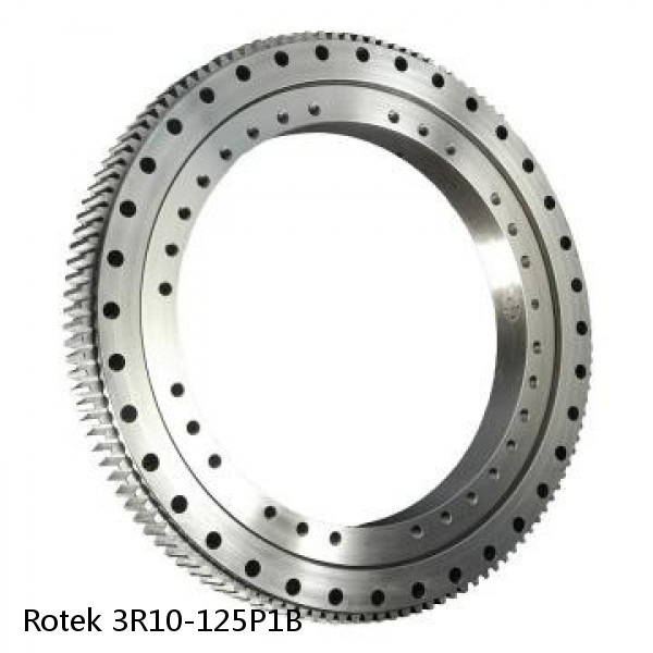 3R10-125P1B Rotek Slewing Ring Bearings