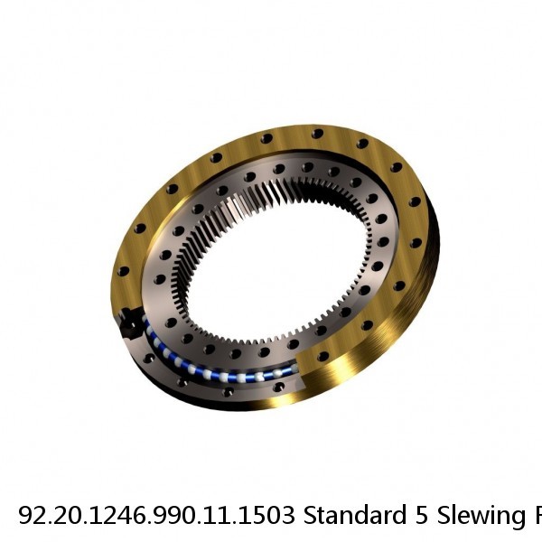 92.20.1246.990.11.1503 Standard 5 Slewing Ring Bearings