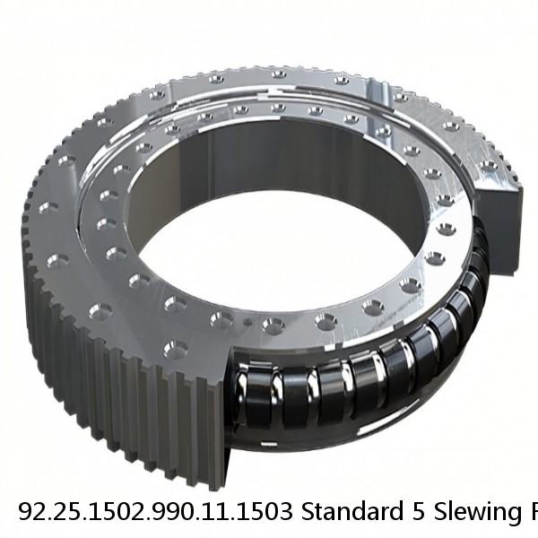 92.25.1502.990.11.1503 Standard 5 Slewing Ring Bearings #1 small image