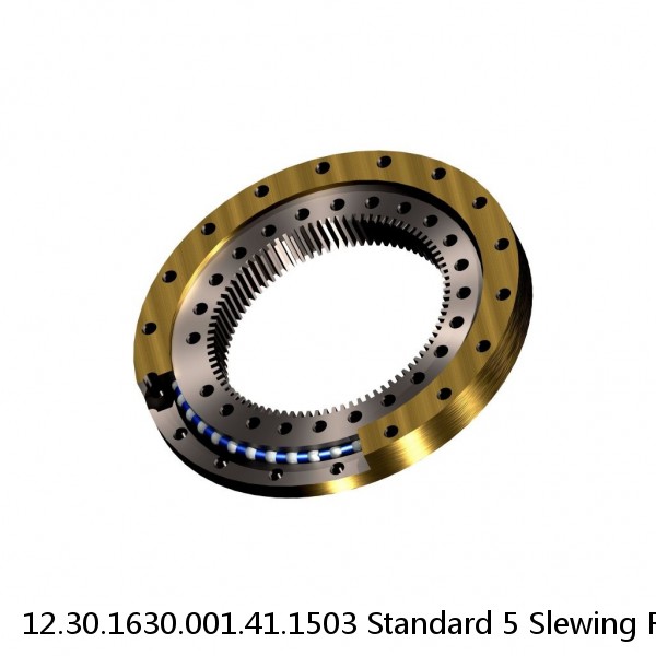 12.30.1630.001.41.1503 Standard 5 Slewing Ring Bearings #1 small image