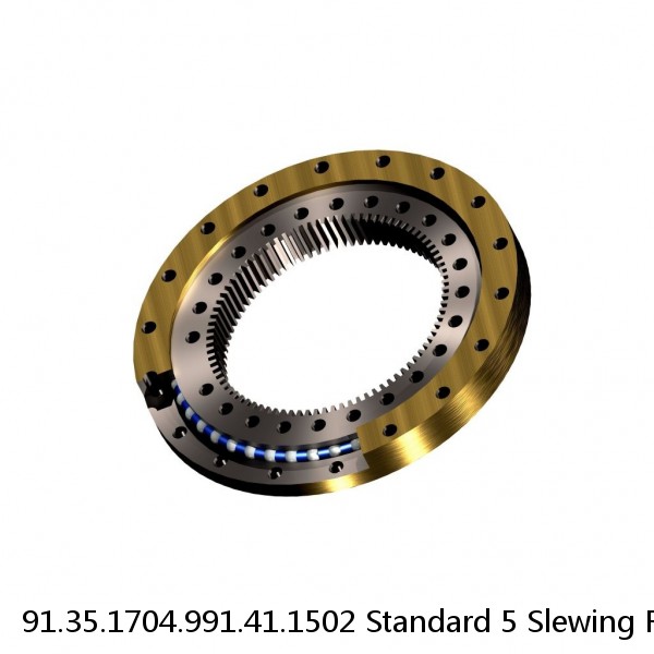 91.35.1704.991.41.1502 Standard 5 Slewing Ring Bearings #1 small image