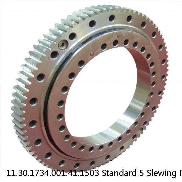 11.30.1734.001.41.1503 Standard 5 Slewing Ring Bearings #1 small image