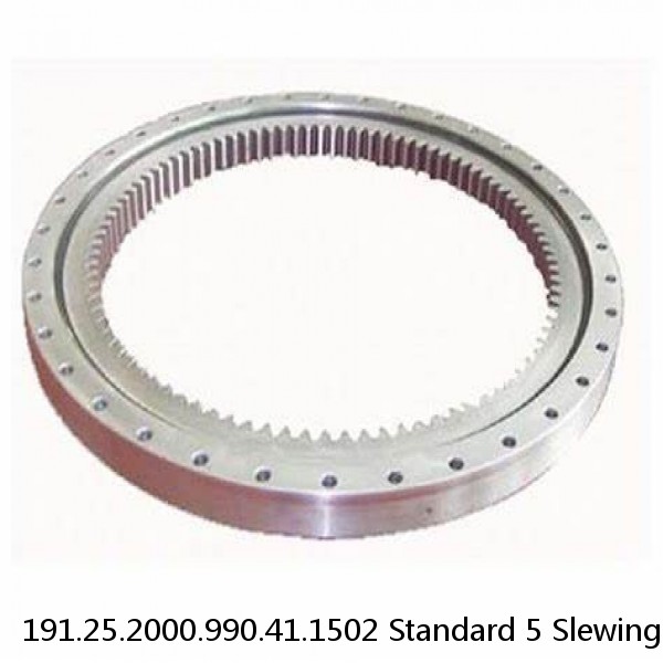 191.25.2000.990.41.1502 Standard 5 Slewing Ring Bearings #1 small image
