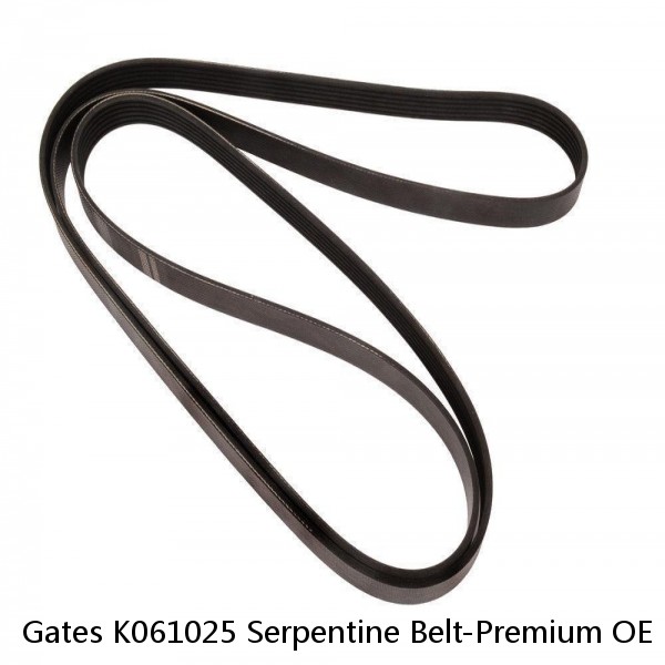 Gates K061025 Serpentine Belt-Premium OE Micro-V Belt  #1 small image