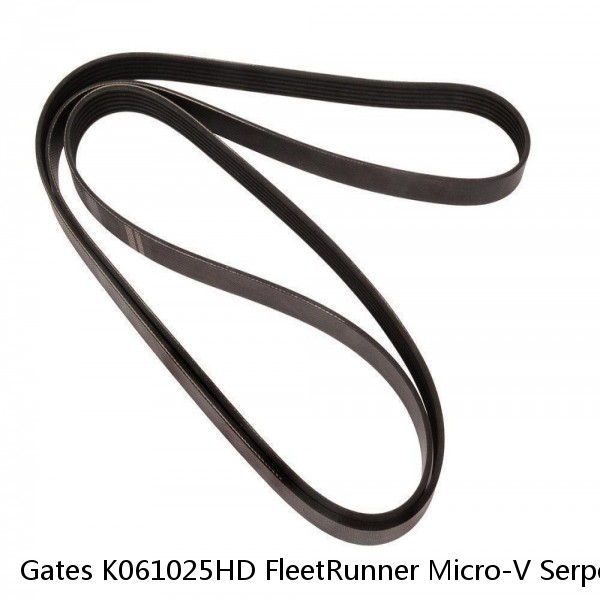 Gates K061025HD FleetRunner Micro-V Serpentine Drive Belt #1 small image