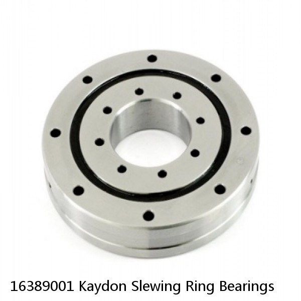 16389001 Kaydon Slewing Ring Bearings #1 image