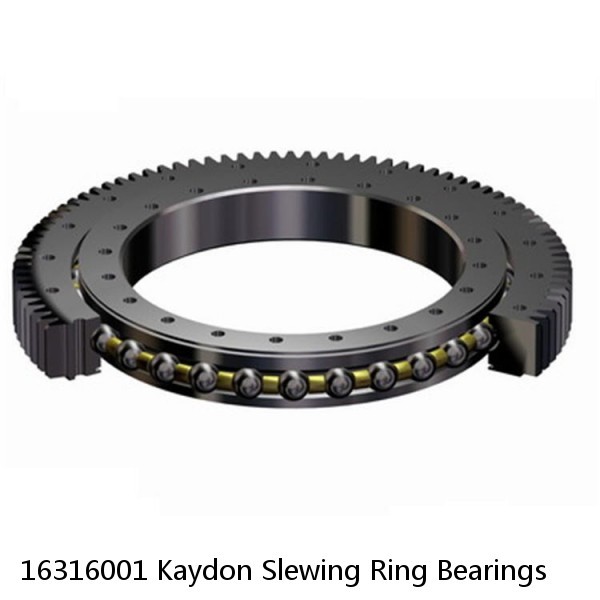 16316001 Kaydon Slewing Ring Bearings #1 image