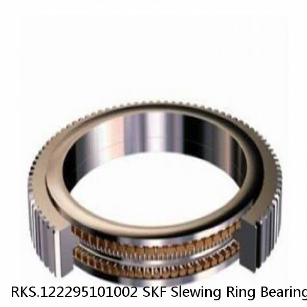 RKS.122295101002 SKF Slewing Ring Bearings #1 image