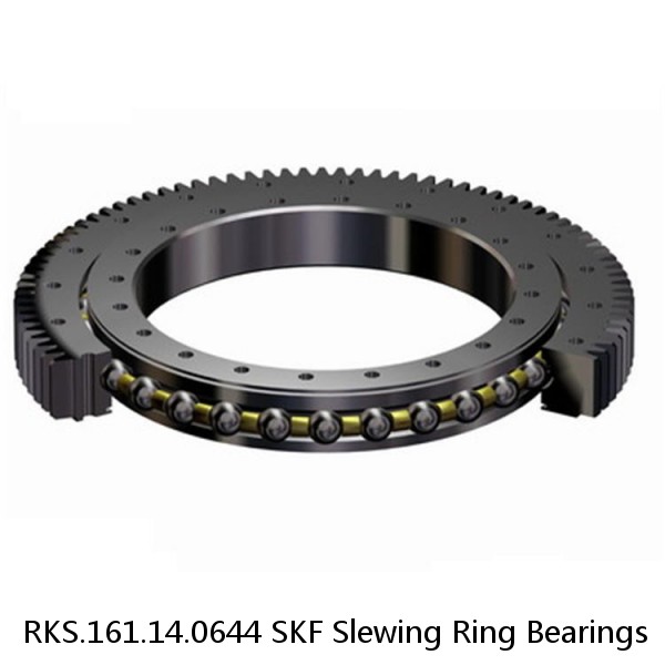 RKS.161.14.0644 SKF Slewing Ring Bearings #1 image