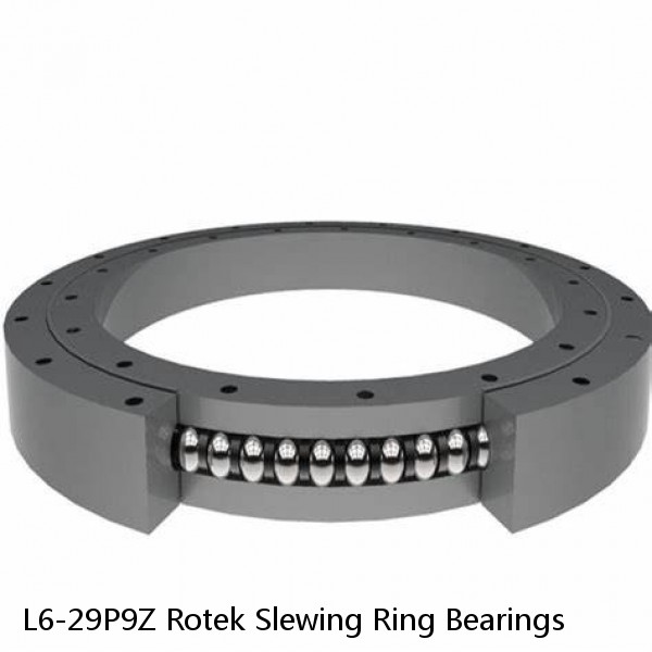L6-29P9Z Rotek Slewing Ring Bearings #1 image