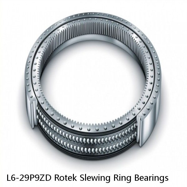 L6-29P9ZD Rotek Slewing Ring Bearings #1 image