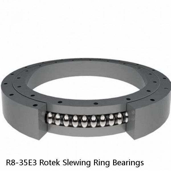 R8-35E3 Rotek Slewing Ring Bearings #1 image