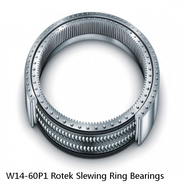 W14-60P1 Rotek Slewing Ring Bearings #1 image
