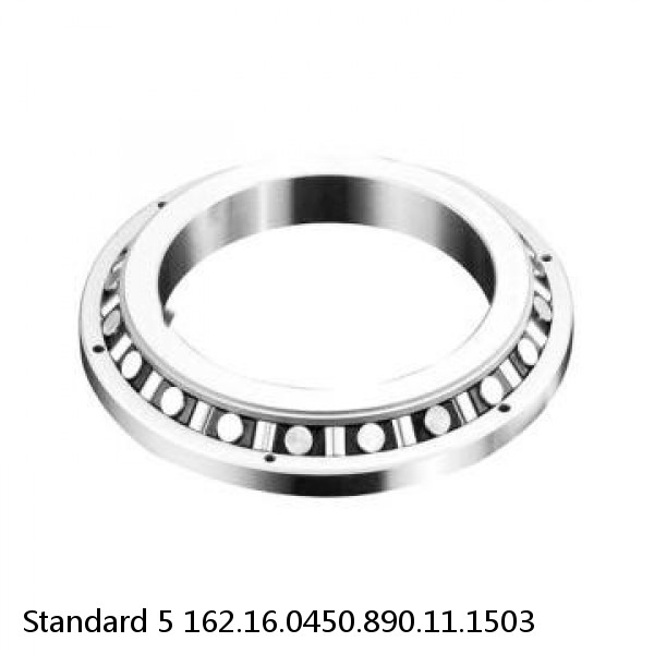 162.16.0450.890.11.1503 Standard 5 Slewing Ring Bearings #1 image