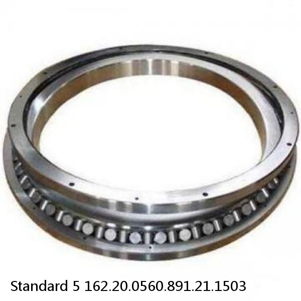 162.20.0560.891.21.1503 Standard 5 Slewing Ring Bearings #1 image