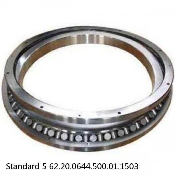 62.20.0644.500.01.1503 Standard 5 Slewing Ring Bearings #1 image