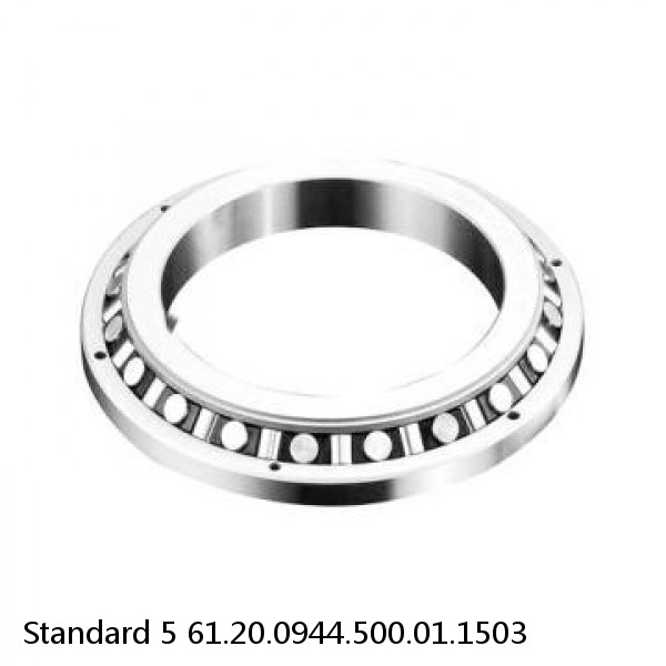 61.20.0944.500.01.1503 Standard 5 Slewing Ring Bearings #1 image