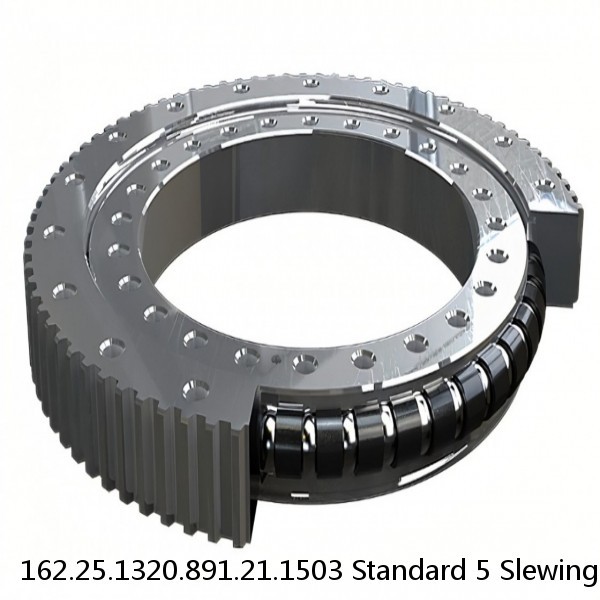 162.25.1320.891.21.1503 Standard 5 Slewing Ring Bearings #1 image