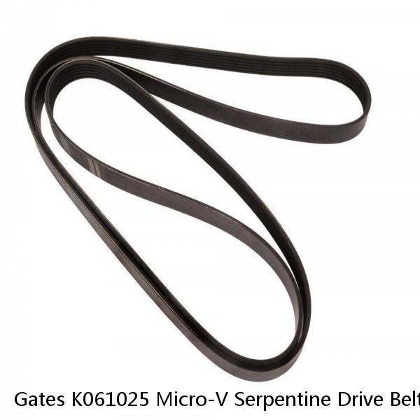 Gates K061025 Micro-V Serpentine Drive Belt #1 image