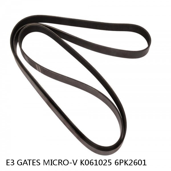 E3 GATES MICRO-V K061025 6PK2601  #1 image