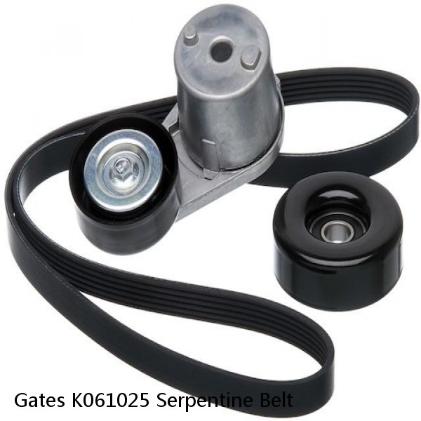 Gates K061025 Serpentine Belt #1 image