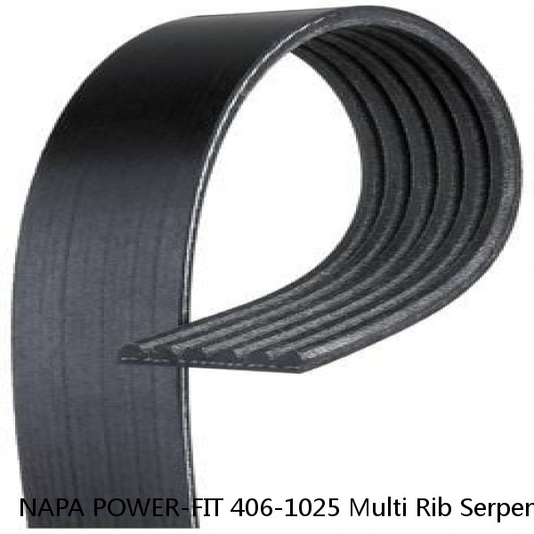 NAPA POWER-FIT 406-1025 Multi Rib Serpentine Belt #1 image