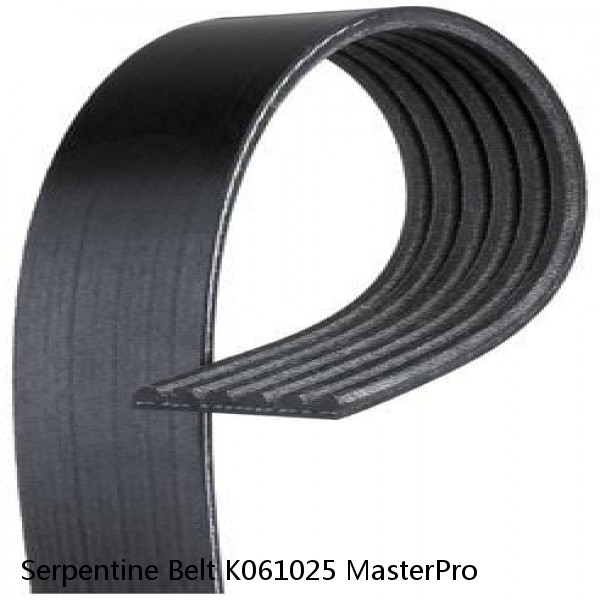 Serpentine Belt K061025 MasterPro  #1 image